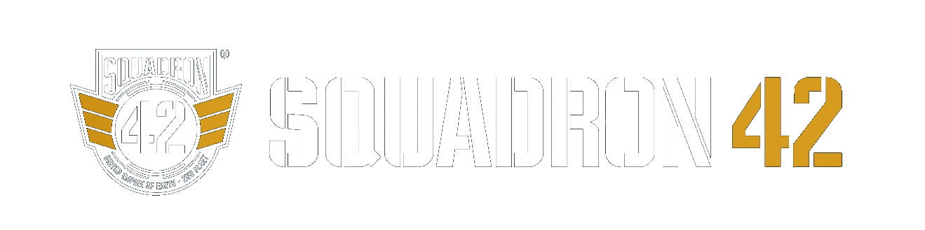 Logo ufficiale di Squadron 42